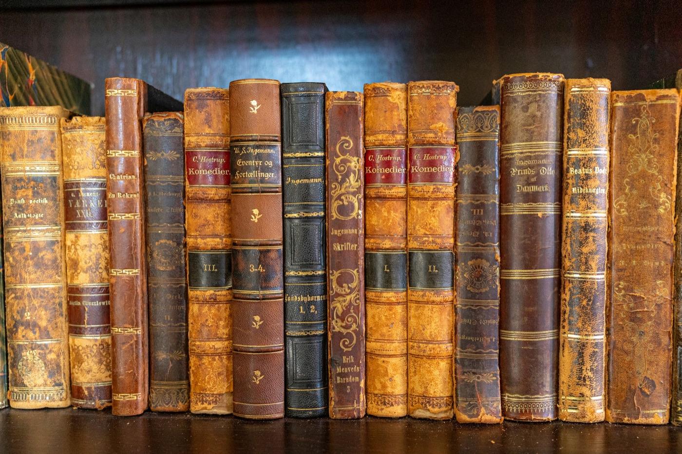Alte Bücher mit Lederrücken in einem Regal